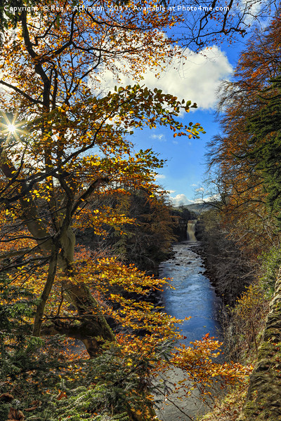 Autumnal High Force Picture Board by Reg K Atkinson