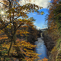 Buy canvas prints of Autumnal High Force by Reg K Atkinson