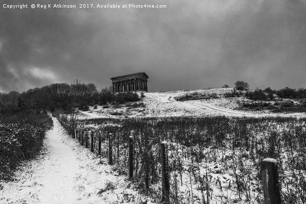 Winter At Penshaw Monument  Picture Board by Reg K Atkinson