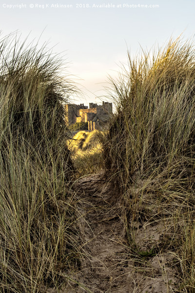 Bamburgh Through The Dunes Picture Board by Reg K Atkinson