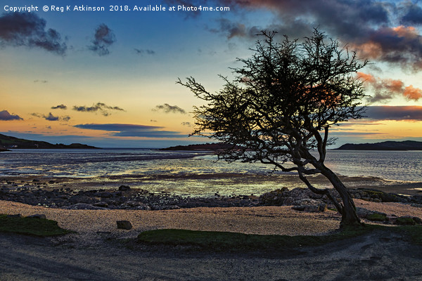 Rockcliffe Bay Sunset Picture Board by Reg K Atkinson