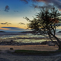 Buy canvas prints of Rockcliffe Bay Sunset by Reg K Atkinson