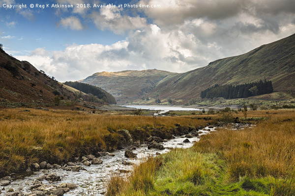 Autumn At Haweswater Picture Board by Reg K Atkinson