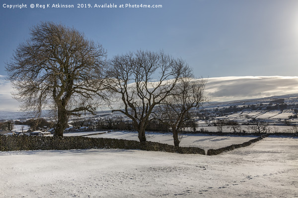 Snow Covered Yorkshire Dales Picture Board by Reg K Atkinson