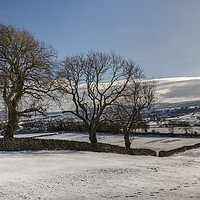Buy canvas prints of Snow Covered Yorkshire Dales by Reg K Atkinson