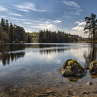 Buy canvas prints of Tarn Hows by Reg K Atkinson