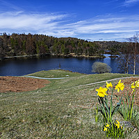 Buy canvas prints of Tarn Hows by Reg K Atkinson