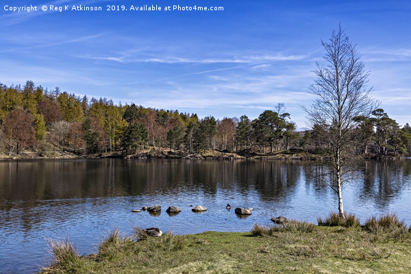 Tarn Hows Picture Board by Reg K Atkinson
