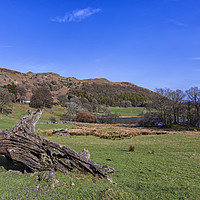 Buy canvas prints of Loughrigg Fell by Reg K Atkinson