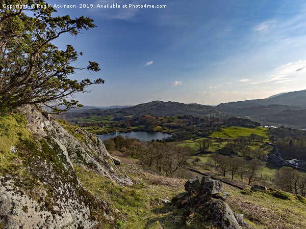 Loughrigg Tarn and Crag Head Picture Board by Reg K Atkinson
