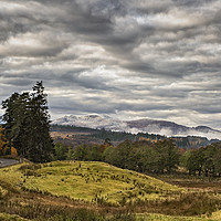Buy canvas prints of Highlands First Snow by Reg K Atkinson