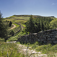 Buy canvas prints of The Cleveland Way by Reg K Atkinson