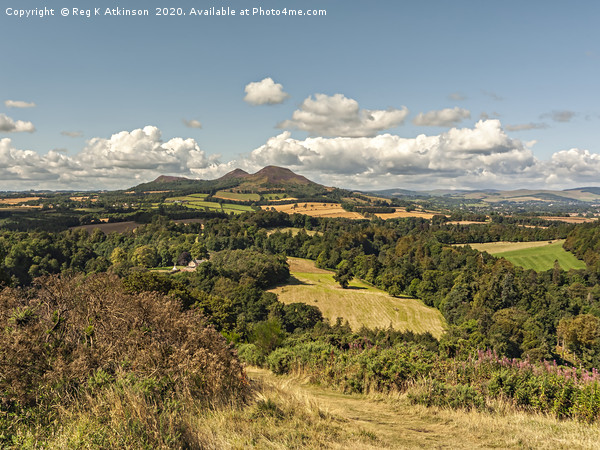 Scotts View to Eildon Hills Picture Board by Reg K Atkinson