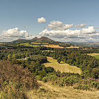 Buy canvas prints of Scotts View to Eildon Hills by Reg K Atkinson