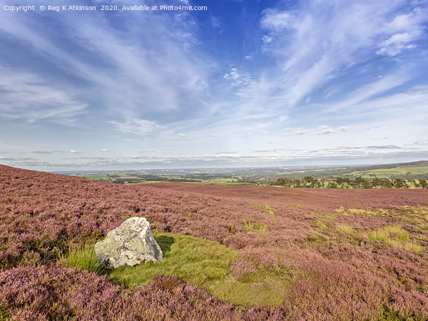 Hexhamshire Common - Northumberland Picture Board by Reg K Atkinson
