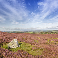 Buy canvas prints of Hexhamshire Common - Northumberland by Reg K Atkinson