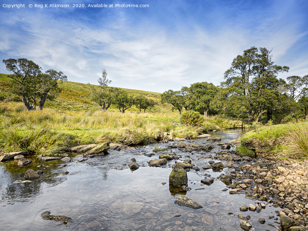 Linn Burn - Hexhamshire Picture Board by Reg K Atkinson