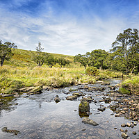 Buy canvas prints of Linn Burn - Hexhamshire by Reg K Atkinson