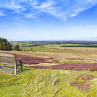 Buy canvas prints of Overlooking The Shire by Reg K Atkinson