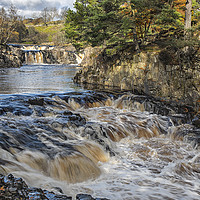 Buy canvas prints of Low Force - Upper Teesdale by Reg K Atkinson