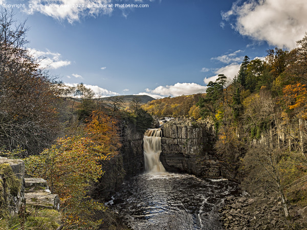 Autumn at High Force Picture Board by Reg K Atkinson