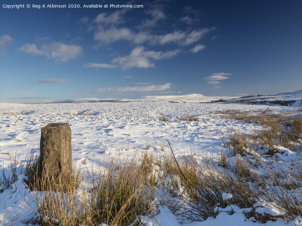 Winter in Yorkshire Dales Picture Board by Reg K Atkinson