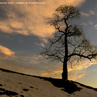 Buy canvas prints of Lone Tree Sunset by Reg K Atkinson