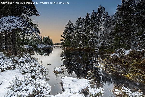 Winter in The Cairngorms Picture Board by Reg K Atkinson