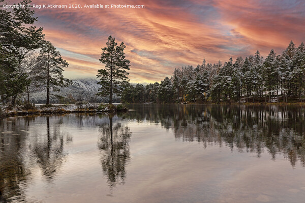 Winter Sunset Cairngorms Picture Board by Reg K Atkinson