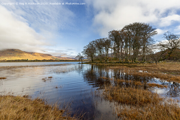 Loch Awe Picture Board by Reg K Atkinson