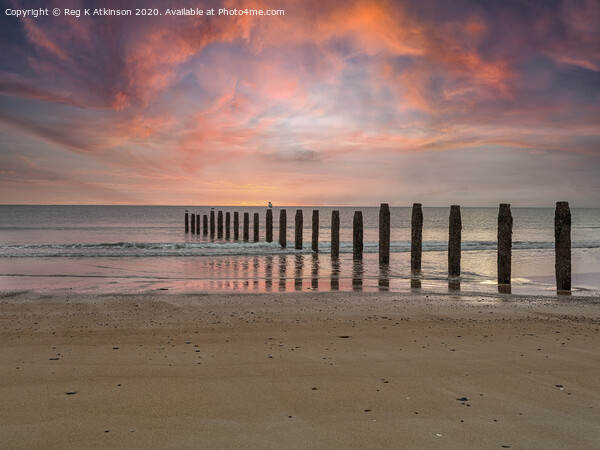 North East Winter Sunrise Picture Board by Reg K Atkinson