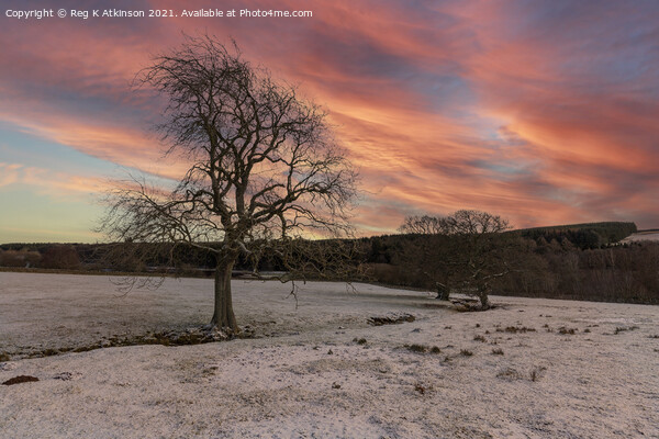 Winter Sunset Derwent Picture Board by Reg K Atkinson
