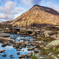 Buy canvas prints of Pen yr ole Wen by Lee Sutton