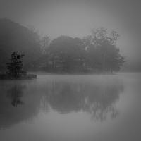 Buy canvas prints of Trees in the mist by Lee Sutton