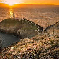 Buy canvas prints of Southstack Lighthouse Sunset by Lee Sutton