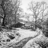 Buy canvas prints of Winter Wonderland by Lee Sutton