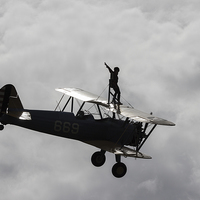 Buy canvas prints of Wing Walking At Damyns Hall Aerodrome (Essex)  by Dave Fegan-Long