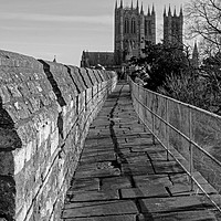 Buy canvas prints of Lincoln Cathedral From The Castle by Dave Fegan-Long