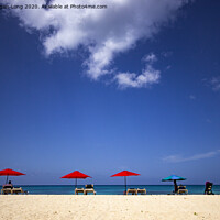 Buy canvas prints of Relaxing Barbados Style 2 by Dave Fegan-Long
