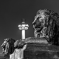 Buy canvas prints of Liverpool lions by Steven Blanchard