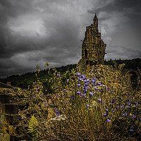 Buy canvas prints of Flowers in the ruins by Gary Peacock