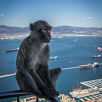 Buy canvas prints of Feeling Blue In Gibraltar by Gary Peacock