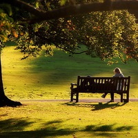 Buy canvas prints of Lazy Day At Hampstead Heath by Jamie Mitchell
