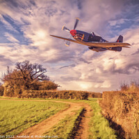 Buy canvas prints of Hedge Hopping by Ian Merton