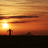 Buy canvas prints of Scarecrow Sunset by Ian Merton