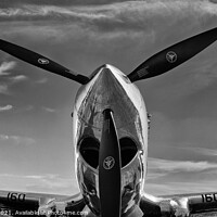 Buy canvas prints of P-40 Warhawk by Ian Merton