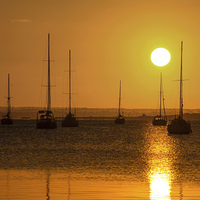 Buy canvas prints of  Golden Yachts by CRW Photography