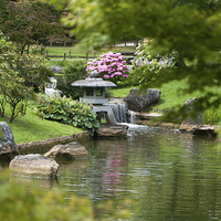 Buy canvas prints of  Japanese Garden landscape by Jurgen Schnabel