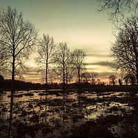 Buy canvas prints of Bawburgh flood by colin allport