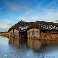 Buy canvas prints of Hickling boathouse by colin allport